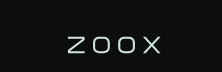 Zoox
