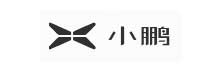 Xiaopeng Motors [Nyse: Xpev]