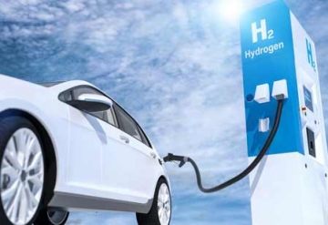 Horses for Courses-Why We need Both Battery and Fuel Cell Powered Vehicles!