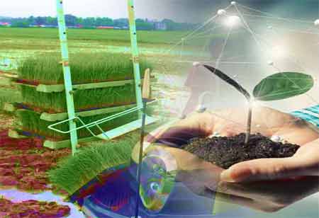 The Role of IoT in Enhancing Operations Efficiency in Auto Dealerships